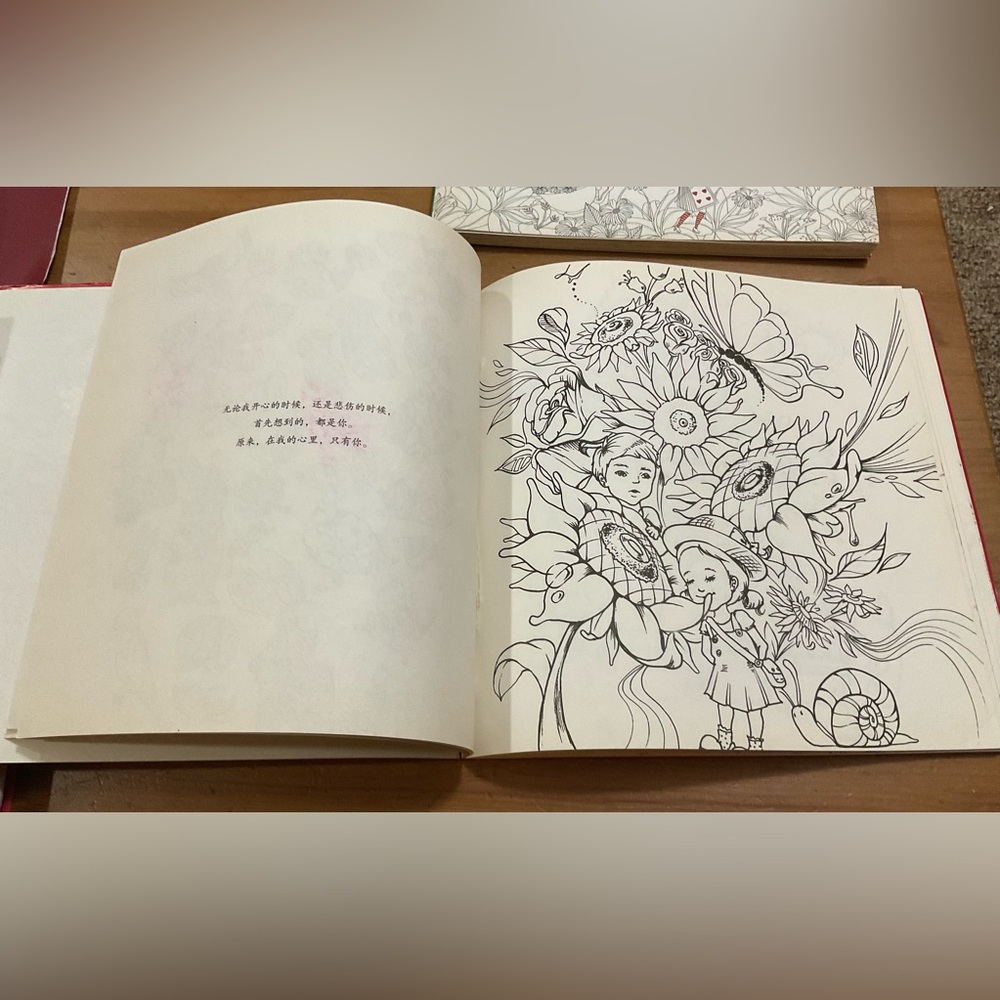 Amily Shen: Alice in Wonderland and Love Secret Chinese coloring  books duo/set - Picture 8 of 9